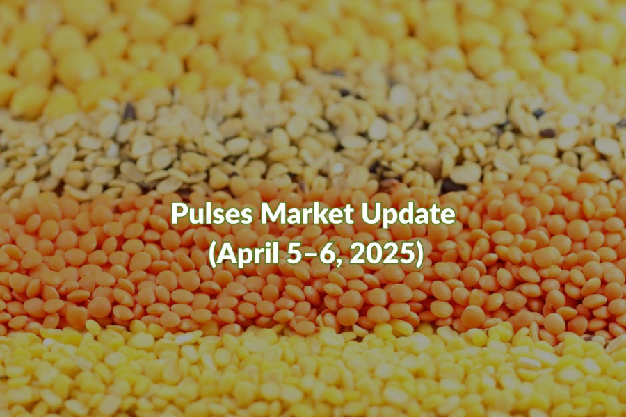 Indore Pulses Market Update Price Trends, Supply Challenges, and Key Insights